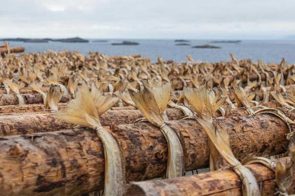 Lofoten Holiday Кабельвоґ Екстер'єр фото